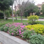 découvrez comment la vidéo 8k sur téléphone capture des détails cinématographiques exceptionnels pour des images d'une qualité inégalée.